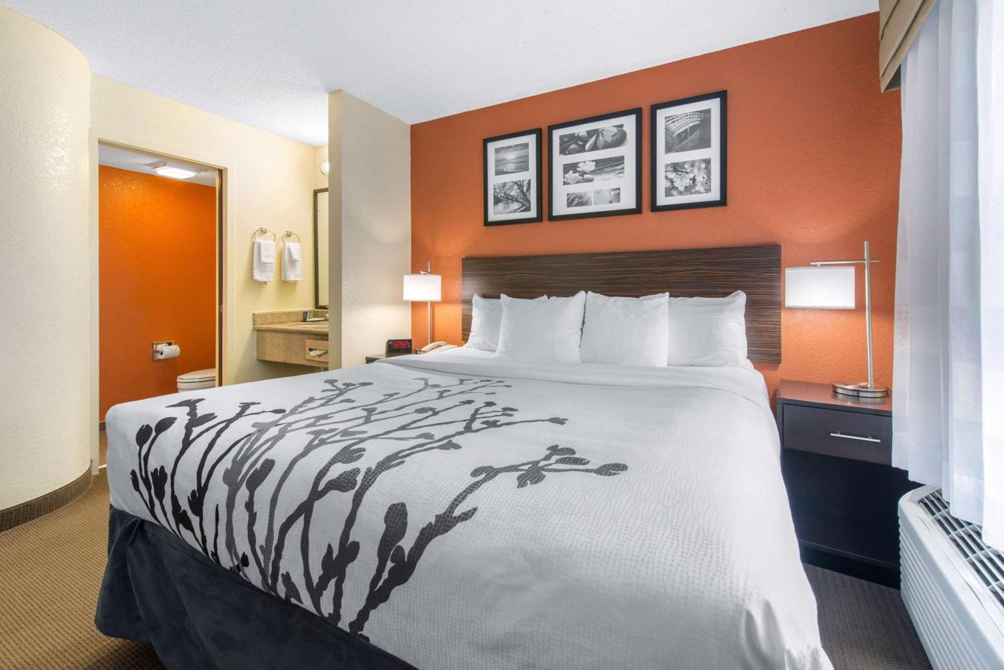Sleep Inn Sarasota North Luaran gambar