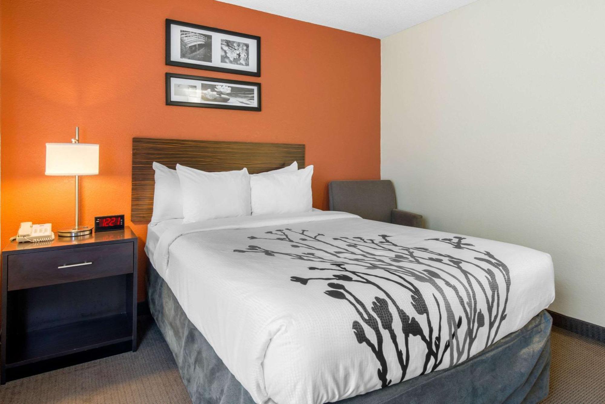 Sleep Inn Sarasota North Luaran gambar