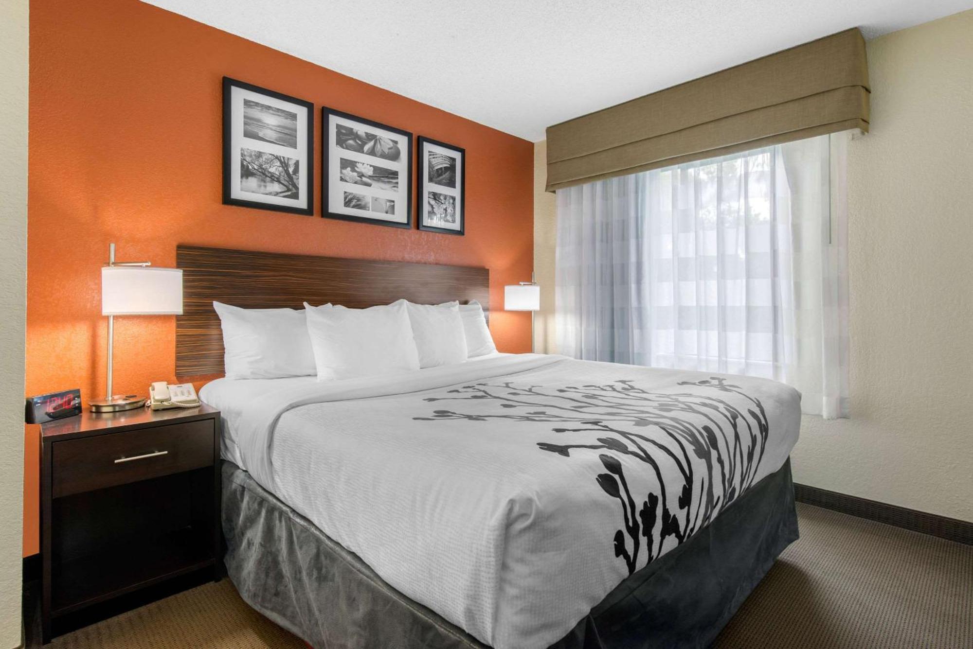 Sleep Inn Sarasota North Luaran gambar