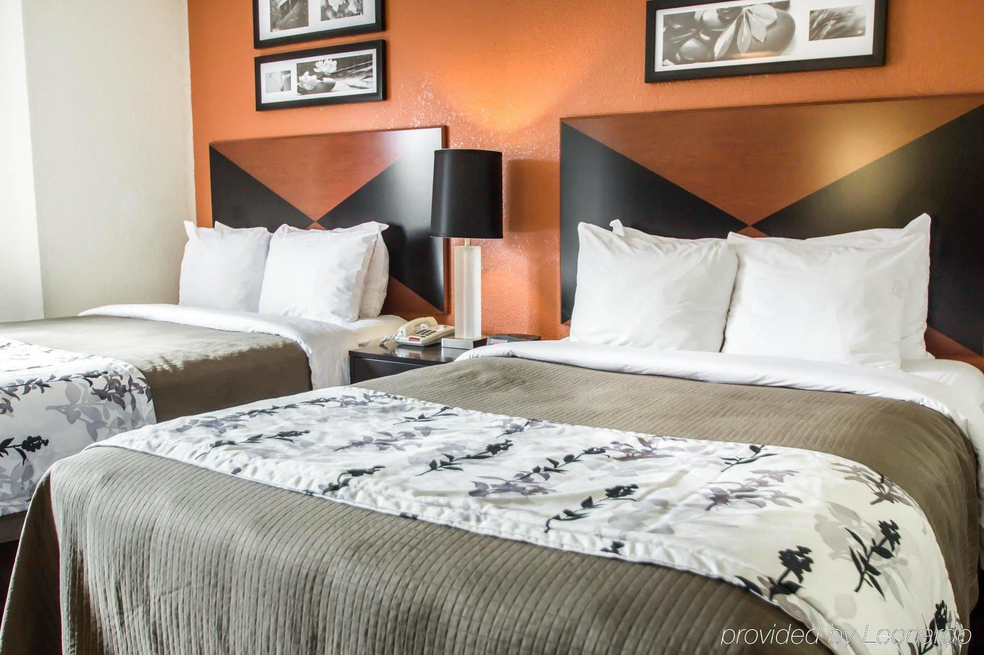 Sleep Inn Sarasota North Luaran gambar